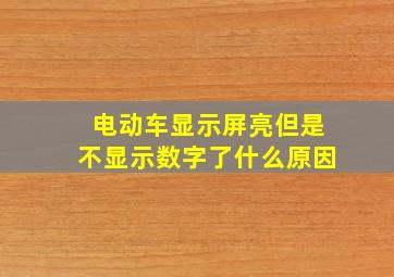 电动车显示屏亮但是不显示数字了什么原因