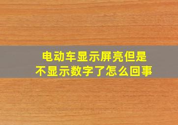 电动车显示屏亮但是不显示数字了怎么回事