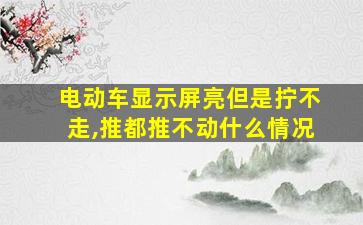 电动车显示屏亮但是拧不走,推都推不动什么情况