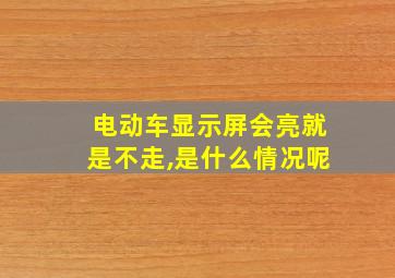 电动车显示屏会亮就是不走,是什么情况呢