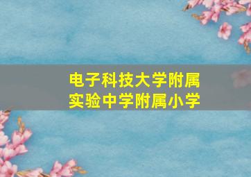 电子科技大学附属实验中学附属小学