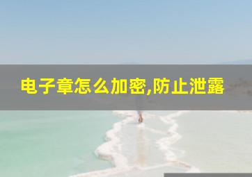 电子章怎么加密,防止泄露