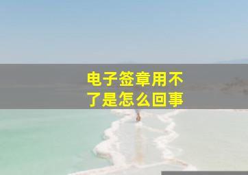 电子签章用不了是怎么回事