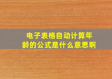 电子表格自动计算年龄的公式是什么意思啊