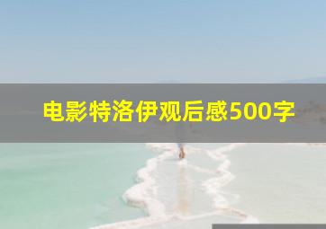 电影特洛伊观后感500字