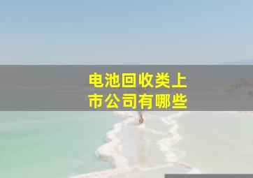 电池回收类上市公司有哪些