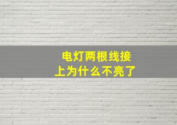 电灯两根线接上为什么不亮了