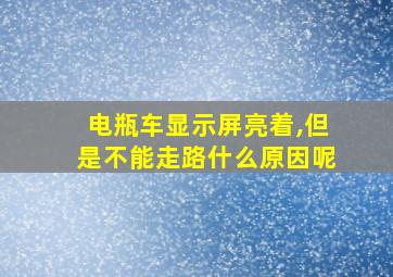 电瓶车显示屏亮着,但是不能走路什么原因呢