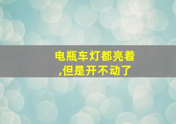 电瓶车灯都亮着,但是开不动了