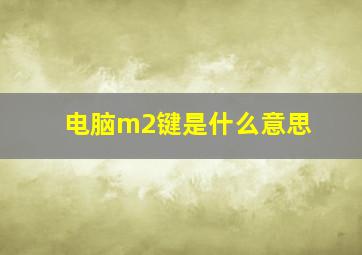 电脑m2键是什么意思