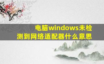 电脑windows未检测到网络适配器什么意思