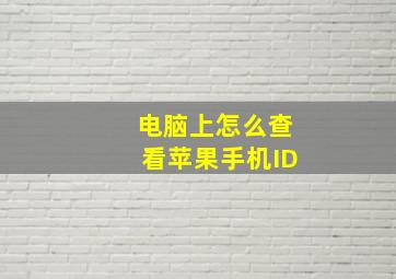 电脑上怎么查看苹果手机ID