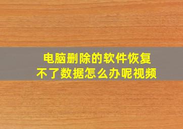 电脑删除的软件恢复不了数据怎么办呢视频