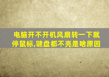 电脑开不开机风扇转一下就停鼠标,键盘都不亮是啥原因