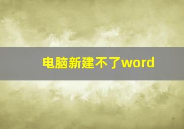 电脑新建不了word