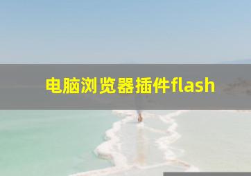 电脑浏览器插件flash