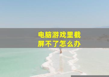 电脑游戏里截屏不了怎么办