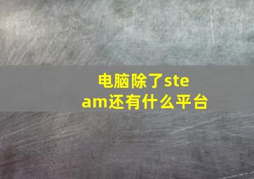 电脑除了steam还有什么平台