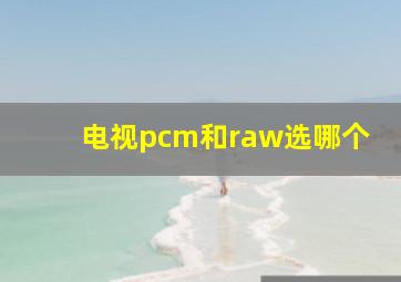 电视pcm和raw选哪个