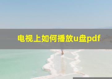 电视上如何播放u盘pdf