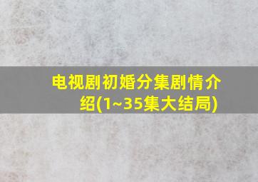 电视剧初婚分集剧情介绍(1~35集大结局)