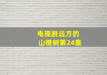 电视剧远方的山楂树第24集