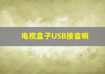 电视盒子USB接音响