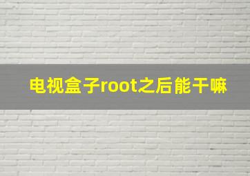 电视盒子root之后能干嘛