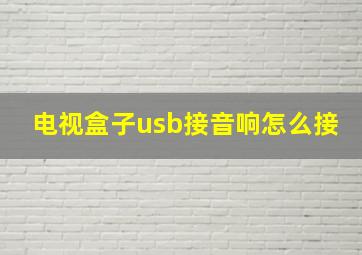 电视盒子usb接音响怎么接