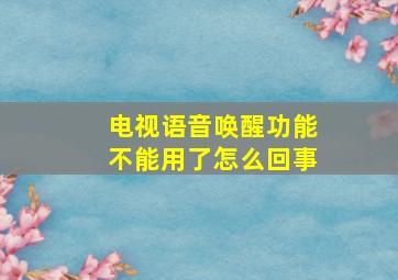 电视语音唤醒功能不能用了怎么回事