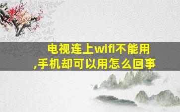 电视连上wifi不能用,手机却可以用怎么回事