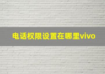 电话权限设置在哪里vivo