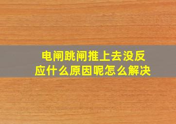 电闸跳闸推上去没反应什么原因呢怎么解决