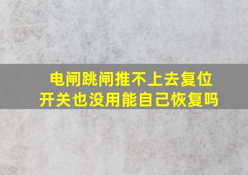 电闸跳闸推不上去复位开关也没用能自己恢复吗