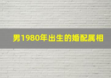 男1980年出生的婚配属相