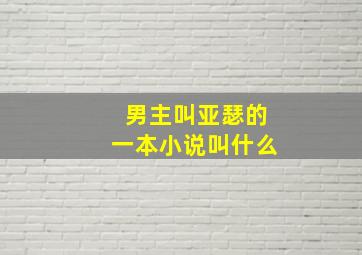 男主叫亚瑟的一本小说叫什么