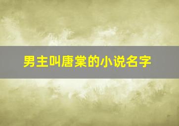 男主叫唐棠的小说名字