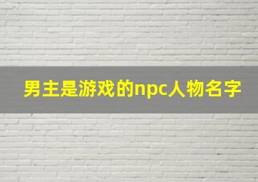 男主是游戏的npc人物名字