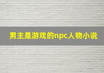 男主是游戏的npc人物小说