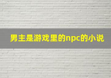 男主是游戏里的npc的小说