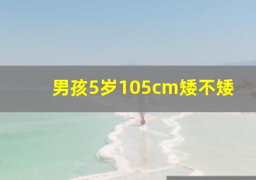 男孩5岁105cm矮不矮