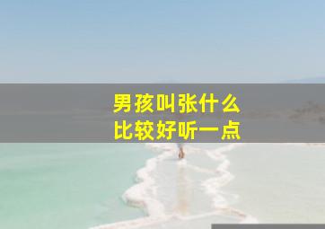 男孩叫张什么比较好听一点