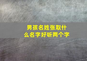 男孩名姓张取什么名字好听两个字