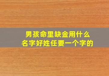 男孩命里缺金用什么名字好姓任要一个字的