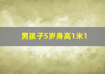 男孩子5岁身高1米1