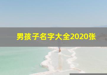 男孩子名字大全2020张