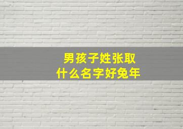 男孩子姓张取什么名字好兔年