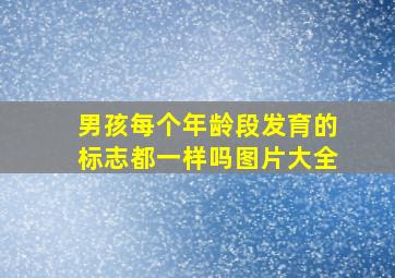 男孩每个年龄段发育的标志都一样吗图片大全