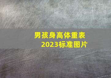 男孩身高体重表2023标准图片