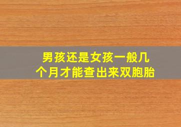 男孩还是女孩一般几个月才能查出来双胞胎